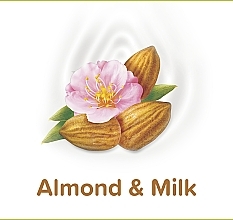 Duschgel mit Mandel und Milch (mit Spender) - Palmolive Almond Milk — Foto N6