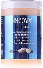 Düfte, Parfümerie und Kosmetik Körperkonzentrat zum Abnehmen mit Zimt und Algen - BingoSpa Concentrate Of The Cinnamon-Algae