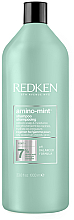 Shampoo - Redken Amino Mint Scalp Shampoo — Bild N1