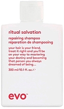 Düfte, Parfümerie und Kosmetik Shampoo für coloriertes Haar - Evo Ritual Salvation Repairing Shampoo