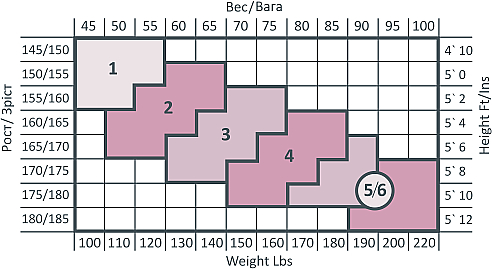 Damenstrümpfe LASSIC 15 Den, 2 Paare, Schwarz - Intuicia — Bild N2