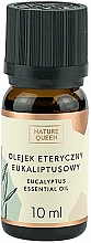 Düfte, Parfümerie und Kosmetik Ätherisches Eukalyptusöl - Nature Queen Essential Oil Eucalyptus