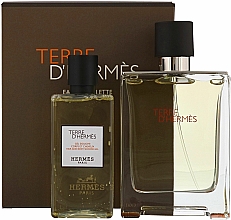 Düfte, Parfümerie und Kosmetik Hermes Terre dHermes - Duftset (Eau de Toilette 100ml + Duschgel 80ml)