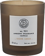 Düfte, Parfümerie und Kosmetik Duftkerze weiße Zeder - Depot 901 Ambient Fragrance Candle White Cedar