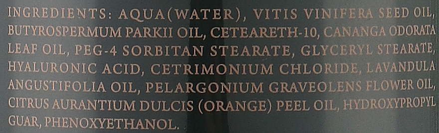 Conditioner für coloriertes Haar mit Ylang Ylang - Vieso Ylang Ylang Essence Color Conditioner — Bild N4