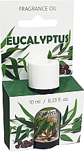 Düfte, Parfümerie und Kosmetik Duftöl - Admit Oil Eucalyptus