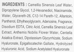 Gesichtswasser mit Centella Asiatica-Extrakt - Dr. Oracle 21;Stay A-Thera Toner — Bild N3