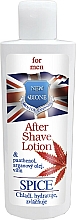 Beruhigende After Shave Lotion mit Panthenol und Arganöl - Bione Cosmetics Bio For Men Spice After Shave Lotion — Bild N1