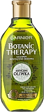 Shampoo - Garnier Botanic Therapy Olive — Bild N3