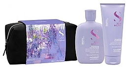 Düfte, Parfümerie und Kosmetik Geschenkset in praktischer Kosmetiktasche (Shampoo 250 ml + Spülung 200 ml + Kosmetiktasche 1 St.) - Alfaparf Holiday Set Smooth 2024