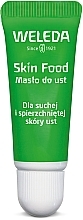 Düfte, Parfümerie und Kosmetik Pflegende Lippenbutter - Weleda Skin Food Lip Butter (Bronze)