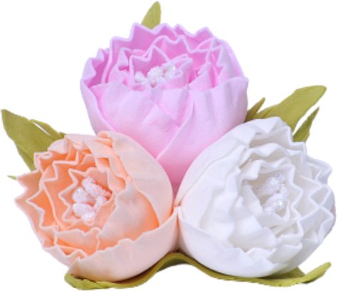 Haargummi Weiß- Rosa-Pfirsichfarbene Igelblume - Katya Snezhkova — Bild N1