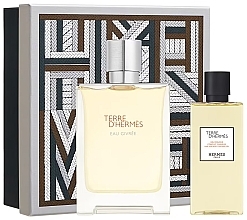 Düfte, Parfümerie und Kosmetik Hermes Terre d'Hermes Eau Givree - Duftset (Eau de Parfum 100ml + Duschgel 80ml) 