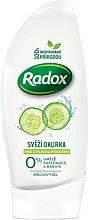 Düfte, Parfümerie und Kosmetik Duschgel mit Gurkenextrakt für empfindliche Haut - Radox Sensitive Cucumber Shower Gel