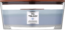 Düfte, Parfümerie und Kosmetik Duftkerze im Glas Trilogy - Woodwick Trilogy Woven Comforts Ellipse