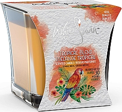 Düfte, Parfümerie und Kosmetik Duftkerze im Glas Tropical Blend - White Swan Tropical Blend