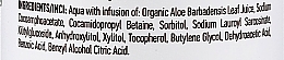 Feuchtigkeitsspendender Gesichtswaschschaum mit Bio Aloe Vera-Extrakt - Ecolatier Organic Aloe Vera Foam — Bild N2