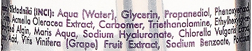 Feuchtigkeitsspendendes Gesichtsserum mit Hyaluronsäure - Ingrid Cosmetics Saute Hyaluronic Paradise Serum — Bild N5
