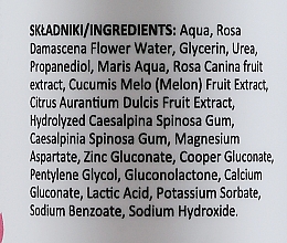 Mineralisierendes Gesichtsspray mit Rosenwasser - Lynia Renew Rose Water — Bild N3