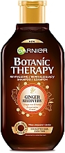 Stärkendes Shampoo mit Ingwer-Wurzel und Honig - Garnier Botanic Therapy — Bild N1