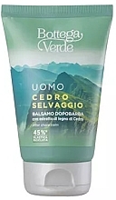 Bottega Verde Cedro Selvaggio - Aftershave Balsam — Bild N1