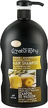 Revitalisierendes Shampoo mit Olivenextrakt für normales und trockenes Haar - Naturaphy Hair Shampoo — Bild N2