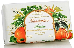 Düfte, Parfümerie und Kosmetik Naturseife mit Mandarine und Minze - Saponificio Artigianale Fiorentino Tangerine & Mint Soap