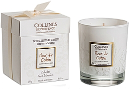 Düfte, Parfümerie und Kosmetik Duftkerze im Glas Cotton Flower - Collines De Provence Cotton Flower
