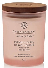 Düfte, Parfümerie und Kosmetik Duftkerze Stillness & Purity - Chesapeake Bay Candle