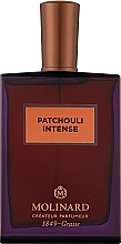 Düfte, Parfümerie und Kosmetik Molinard Les Prestige: Patchouli Intense - Eau de Parfum