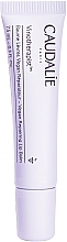 Düfte, Parfümerie und Kosmetik Revitalisierender Lippenbalsam - Caudalie Vinotherapist Vegan Repairing Lip Balm