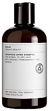 Haarshampoo für mehr Glanz - Evolve Beauty Superfood Shine Natural Shampoo — Bild N2