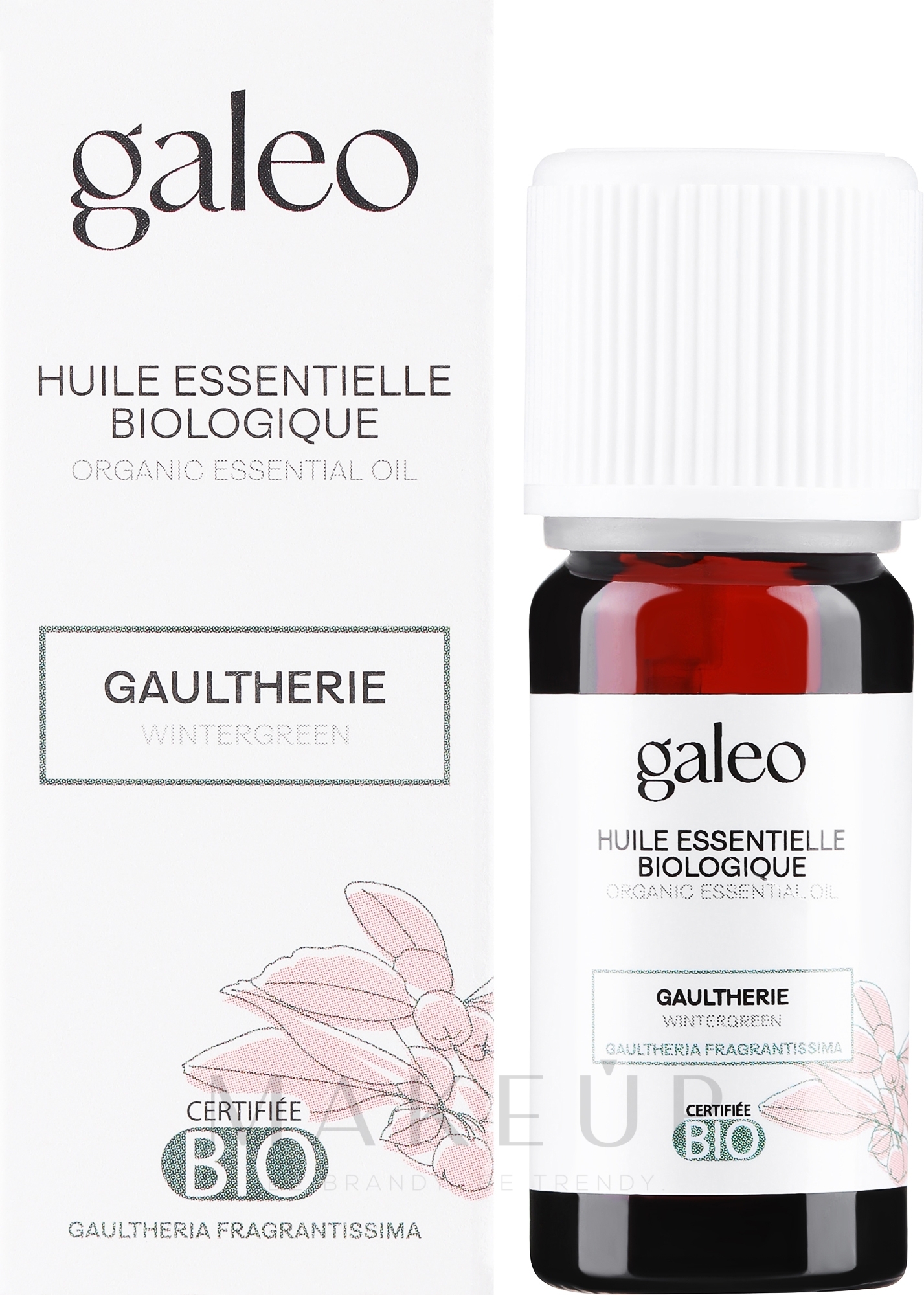 Organisches ätherisches Öl Wintergrün - Galeo Organic Essential Oil Gaultherie — Bild 10 ml