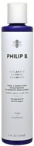 Aufhellendes Shampoo für blondes und graues Haar - Philip B Icelandic Blonde Shampoo — Bild N1