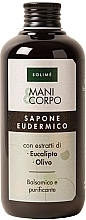 Düfte, Parfümerie und Kosmetik Flüssigseife für Hände und Körper - Solime Eucalyptus And Olive Hand/Body Soap