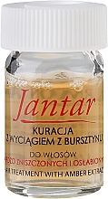 Haarampullen mit Bernsteinextrakt für stark geschädigtes und feines Haar - Farmona Jantar Hair Treatment In Ampoules — Foto N2