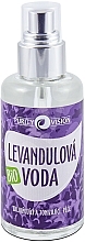 Düfte, Parfümerie und Kosmetik Lavendelwasser - Purity Vision Bio Lavender Water