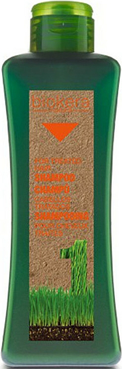 Farbschutz-Shampoo für coloriertes Haar - Salerm Biokera Natura Treated Hair Shampoo — Bild N1