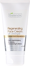 Regenerierende Gesichtscreme mit kolloidalem Gold SPF 10 - Bielenda Professional Regenerating Face Cream — Bild N2
