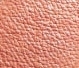 Gesichtsrouge - Asoa Mineral Blush — Bild Pastel Coral
