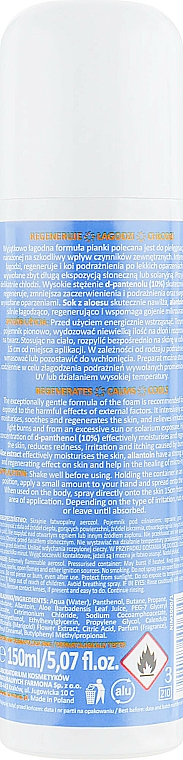 Regenerierender und beruhigender Gesichts- und Körperschaum mit Panthenol - Farmona Panthenol Face and Body Foam in Spray Sunburns — Bild N2
