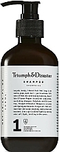 Düfte, Parfümerie und Kosmetik Regenerierendes Haarshampoo mit Keratin, Arganöl und Minzduft - Triumph & Disaster Shampoo