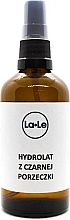 Düfte, Parfümerie und Kosmetik Hydrolat aus schwarzen Johannisbeerblättern für Körper und Haar - La-Le Hydrolat