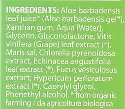 Feuchtigkeitsspendendes Gesichtsgel - Bioearth The Beauty Seed Cell Renewing Aloe Gel 96%  — Bild N3