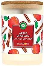 Düfte, Parfümerie und Kosmetik Duftkerze Apfel mit Zimt - Air Wick Essential Oils Apple Orchard & Ceylon Cinnamon Scented Candle Glass