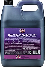 Professionelles silbernes Shampoo gegen Gelbstich für blondes und graues Haar - Ronney Professional Anti-Yellow Pigment Silver Power Shampoo — Bild N4