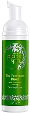 Erfrischender Reinigungsschaum für das Gesicht - Avon Planet Spa The Freshness Ritual Cleansing Mousse — Bild N1