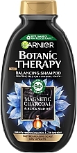 Ausgleichendes Shampoo - Garnier Botanic Therapy Balancing Shampoo — Bild N1