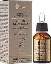 Düfte, Parfümerie und Kosmetik Verjüngendes Konzentrat-Serum für das Gesicht mit Stammzellen vom Arganbaum - Ava Laboratorium Youth Activators Serum