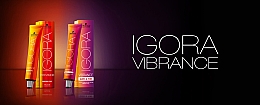 Ammoniakfreie Haarfarbe - Schwarzkopf Professional Igora Vibrance  — Bild N2